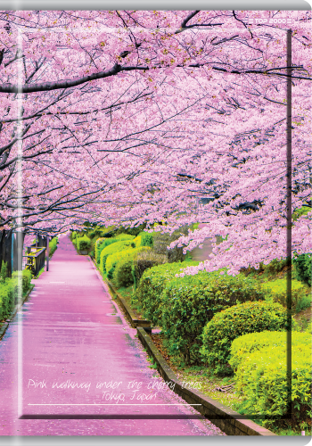 Zeszyt Top 2000 Office A4/80k kratka